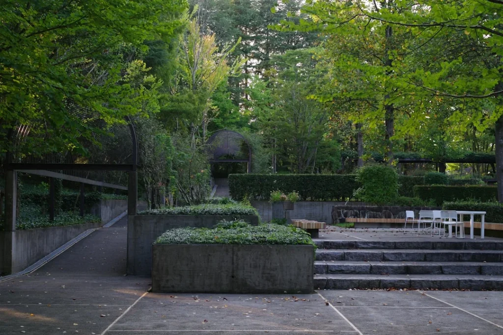 Contoh Inspirasi Desain Taman Minimalis Sesuai Lokasi