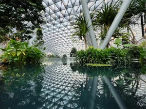 Gaya Arsitektur Tropis: Desain Rumah Sejuk dan Estetis