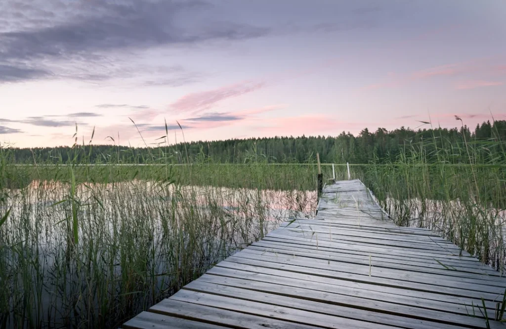 Koneksi Dengan Alam: Biofilia Dalam Desain Scandinavian