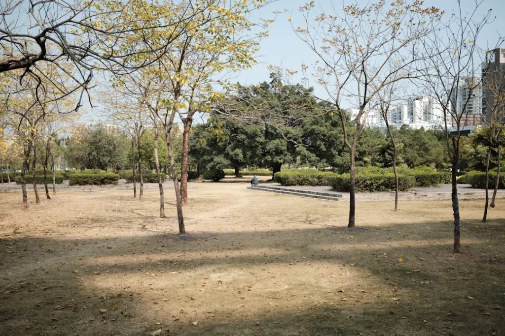 Penataan Ruang Dan Zonasi Di Taman Minimalis