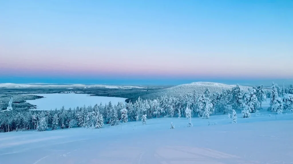 Scandinavian